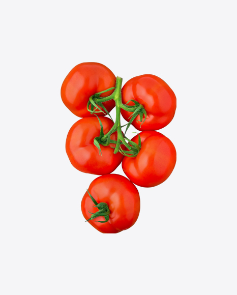 Tomatoes Brunch