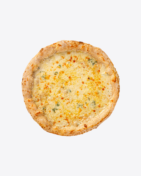 Gourmet Four Cheese Pizza