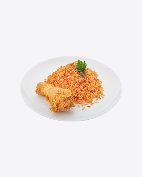 Rice w/ Fried Chicken Piece