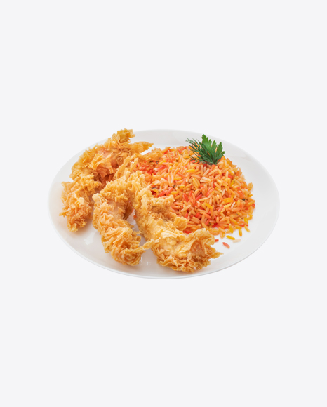 Rice w/ Fried Chicken Pieces