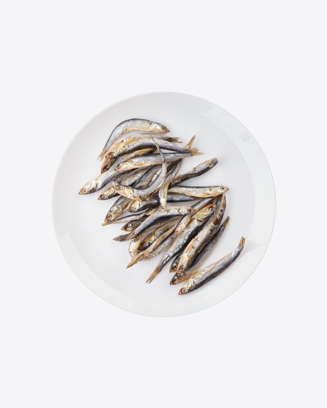 Anchovies