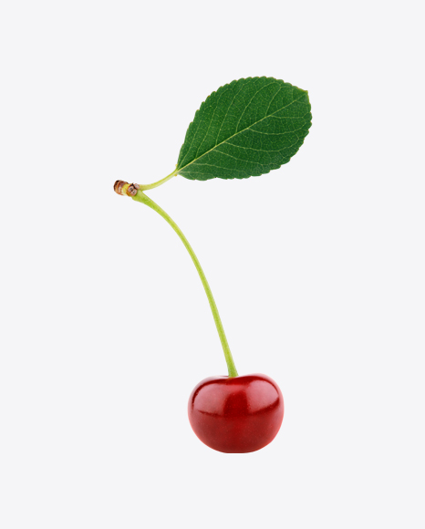 Cherry with Leaf PNG