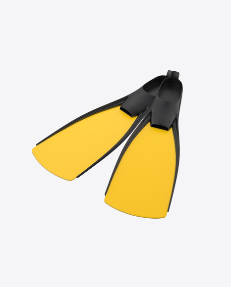 Flippers PNG