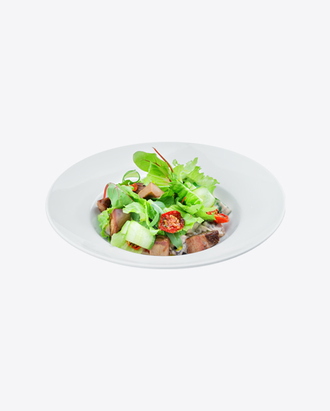 Salad w/ Meat Pieces