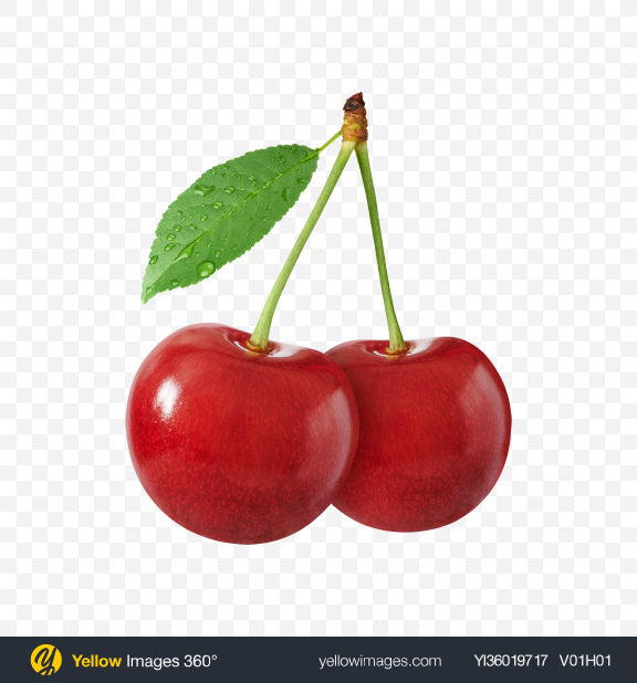 Download Cherries with Stem Transparent PNG on YELLOW Images