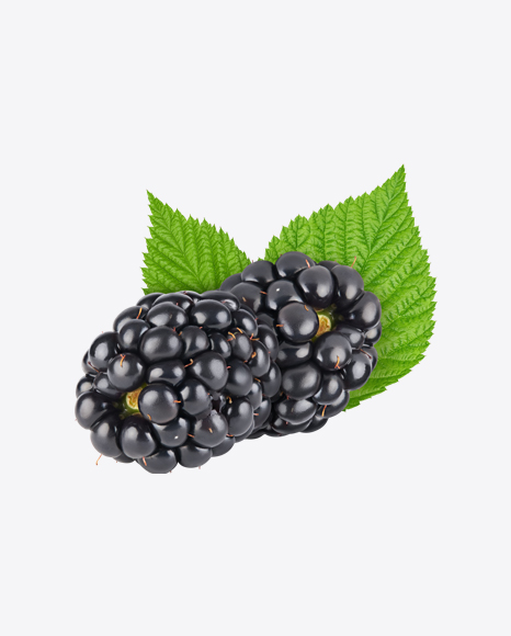 Blackberry Set PNG