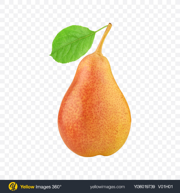 Download Pear with Leaf Transparent PNG on YELLOW Images
