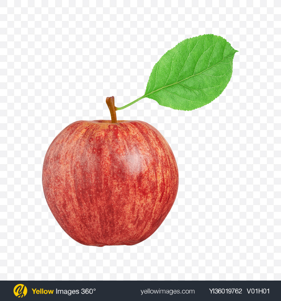 Download Red Apple with Leaf Transparent PNG on YELLOW Images