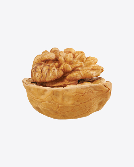 Walnut In Shell PNG