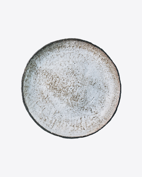 Ceramic Plate