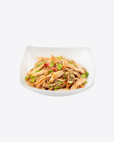 Udon Noodles w/ Chicken