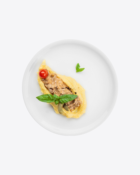 Beef Stroganoff w/ Potato Puree