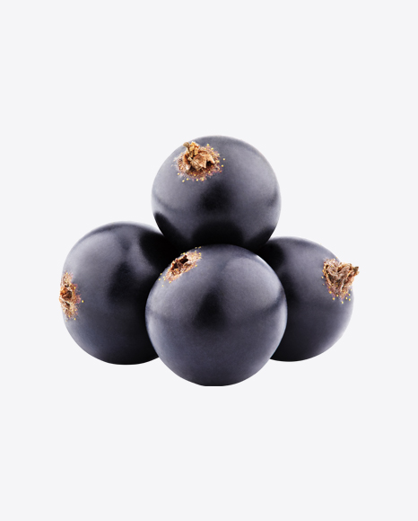 Black Currant Set PNG