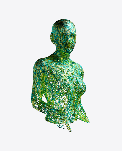 Abstract Bust
