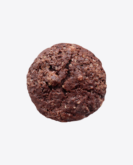 Chocolate Muffin