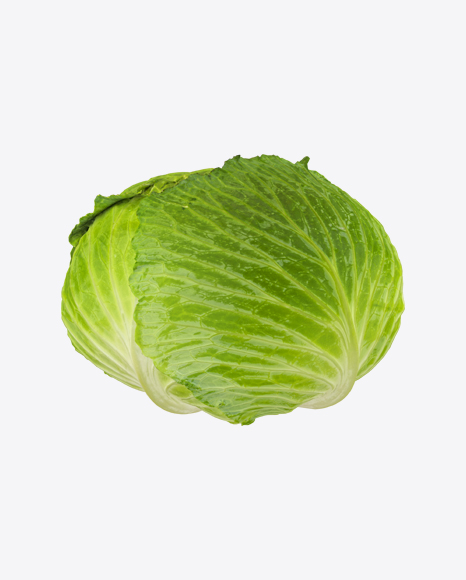 Cabbage PNG