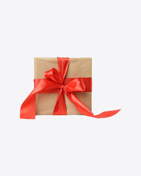 Kraft Wrap w/ Red Ribbon PNG