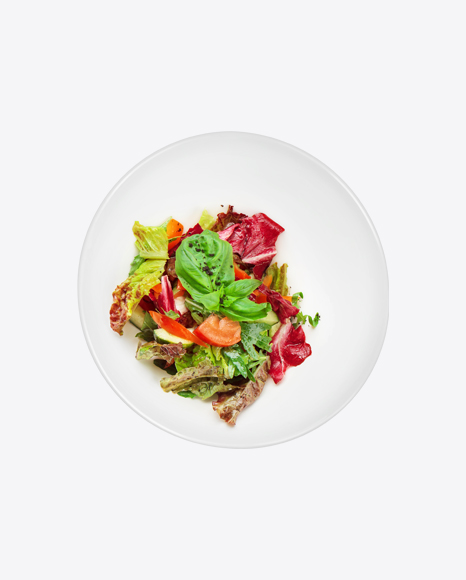 Fresh Salad