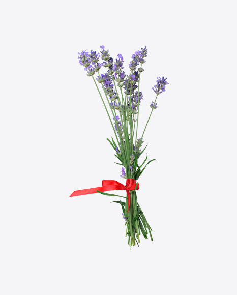 Lavender Pile w/ Red Ribbon PNG