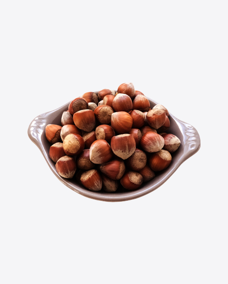 Hazelnuts in Shell on Grey Plate