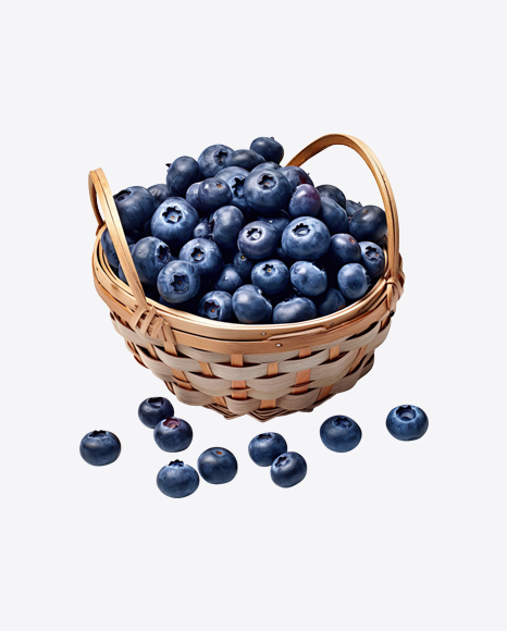 Blueberries in Basket