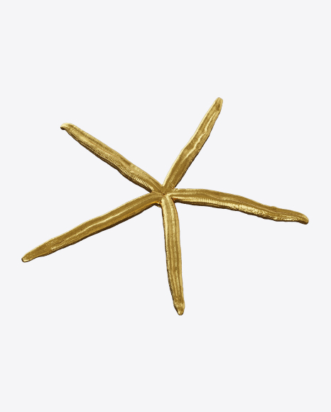 Gold Sea Star PNG