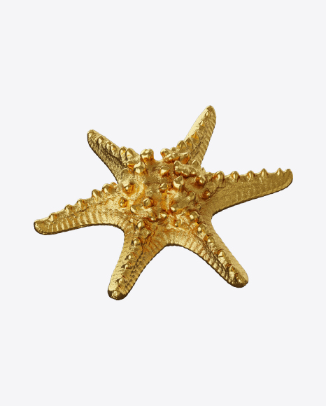 Golden Sea Star PNG