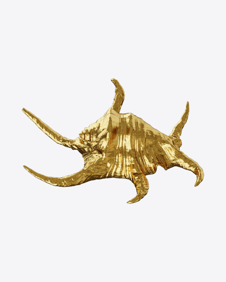 Golden Seashell Sculpture PNG