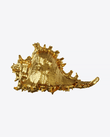 Golden Seashell Sculpture PNG