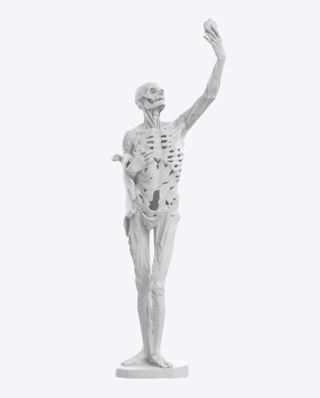 Skeleton Sculpture PNG