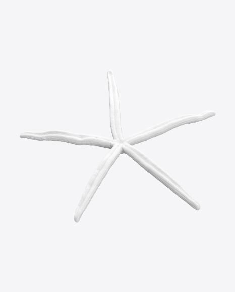 Sea Star Sculpture PNG