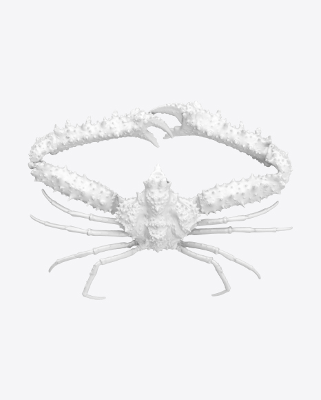 Crab Sculpture PNG