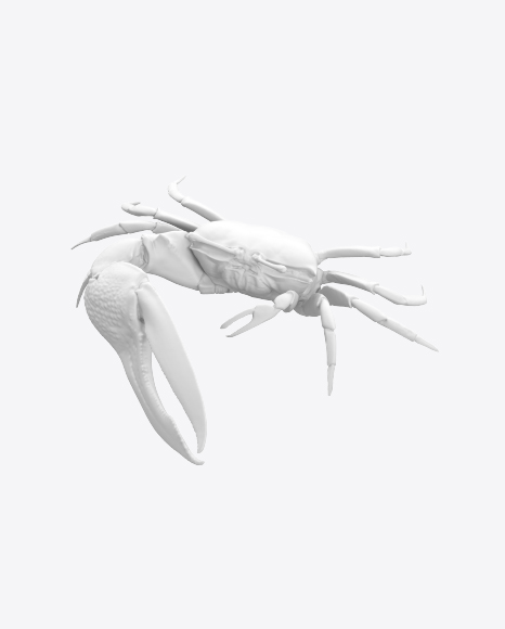 Crab Sculpture PNG