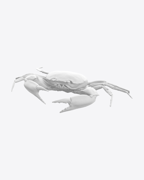Crab Sculpture PNG