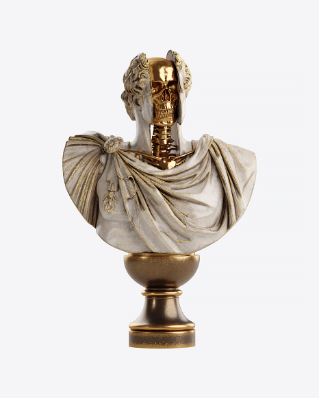 Bust of Man with Golden Details PNG