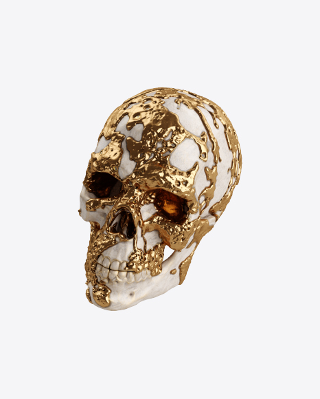 Skull with Golden Details PNG