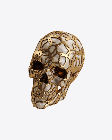 Skull with Golden Details PNG