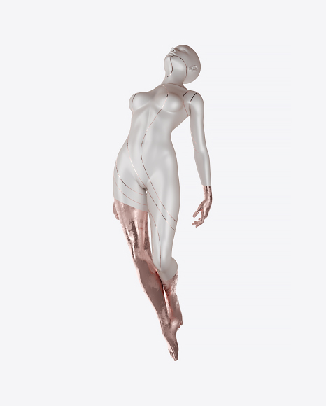 Abstract Female Body PNG