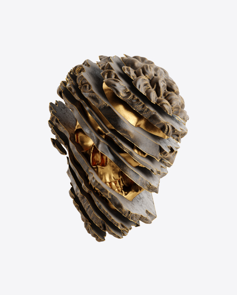 Head Sculpture with Golden Details PNG