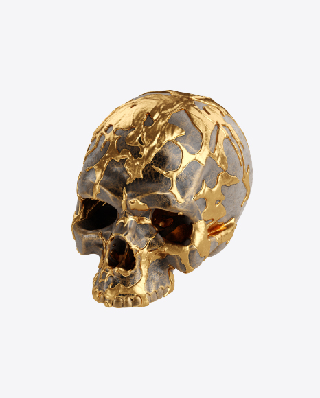 Skull with Golden Details PNG