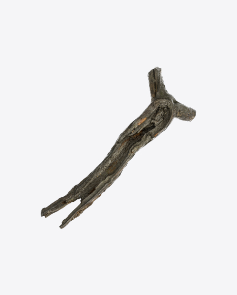 Tree Log
