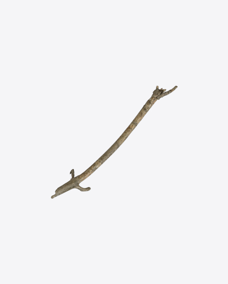 Tree Branch