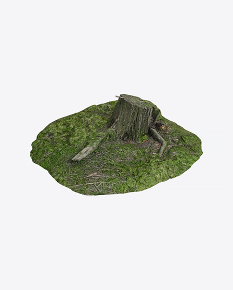 Mossy Stump PNG