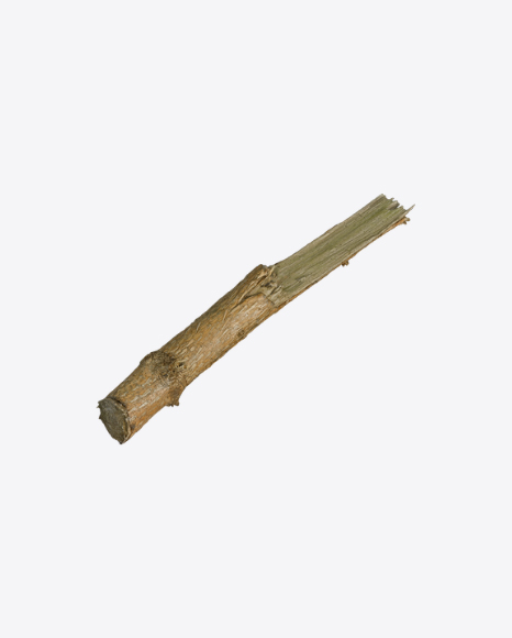 Tree Log PNG