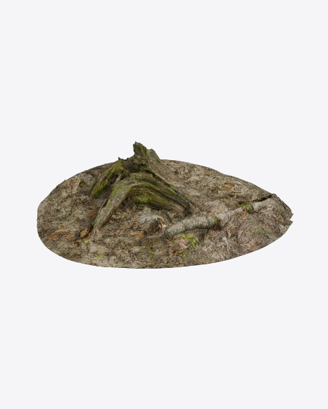 Mossy Stump