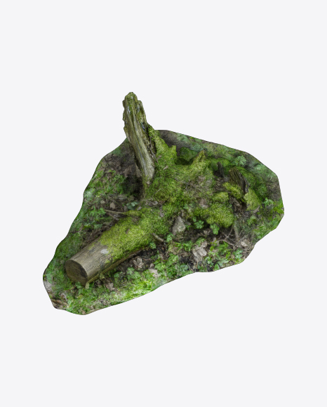 Mossy Stump
