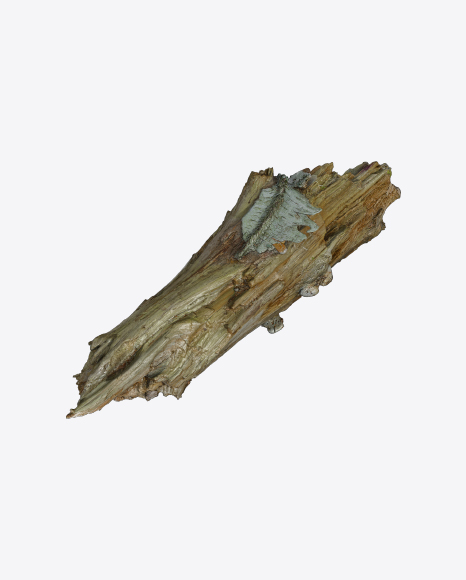 Tree Log PNG