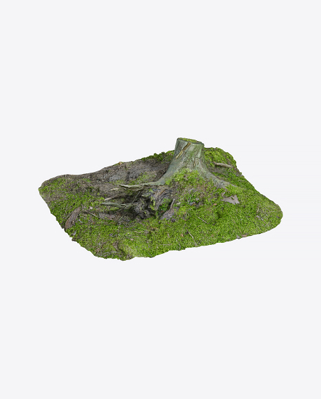 Mossy Stump