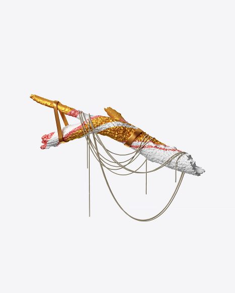 Abstract Log with Ropes PNG