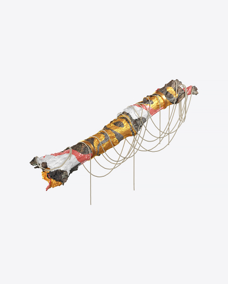 Abstract Log with Ropes PNG
